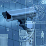 妖精视频黄版在线观看